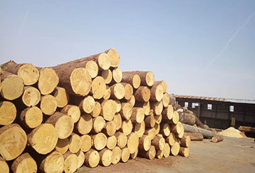 电能管理系统在盛奥松木业的应用